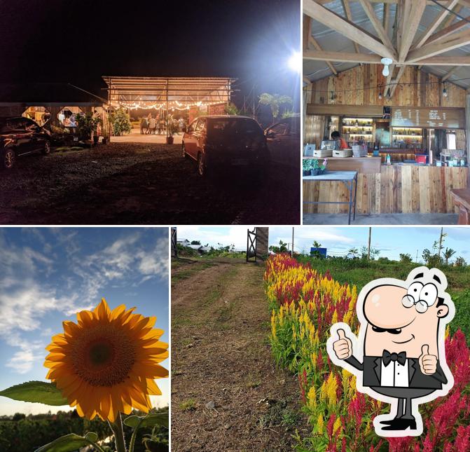 Sambo's Farm