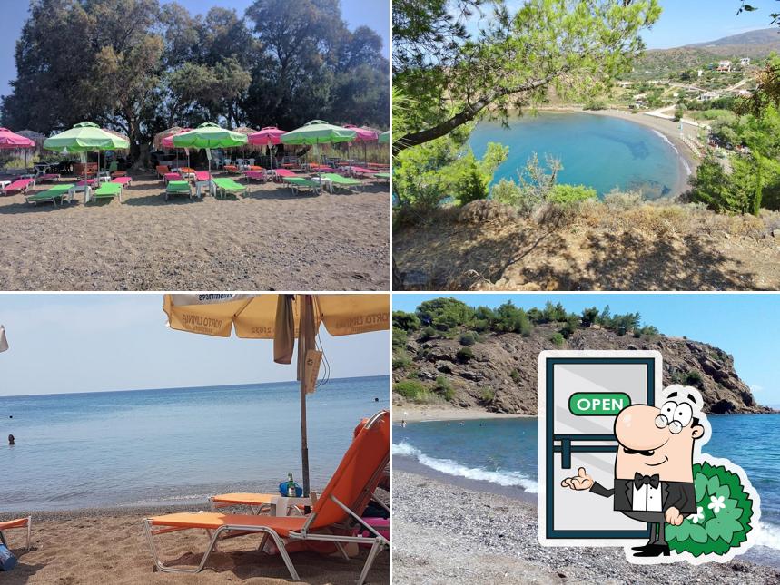 Lefkathia Beach Bar