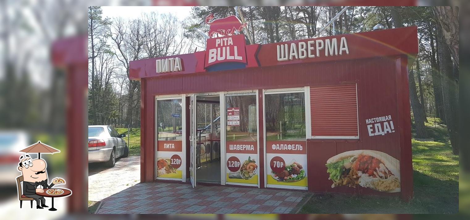 PITA BULL
