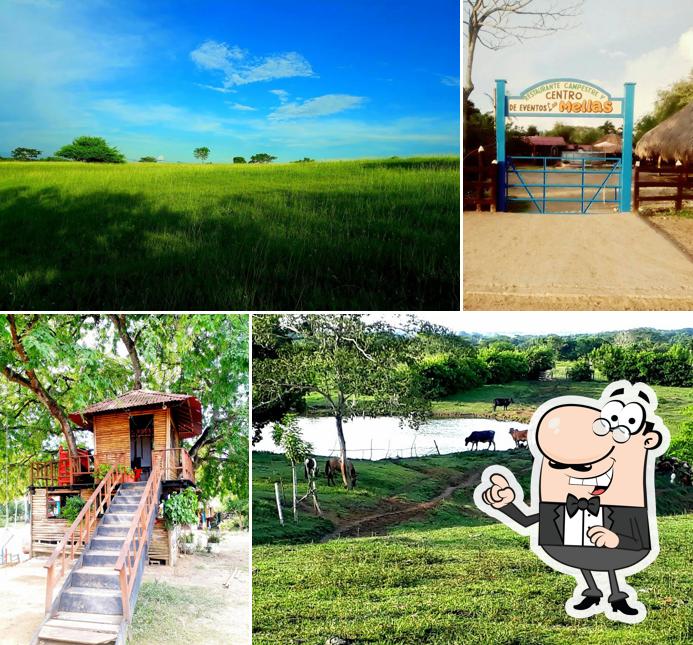 Jardin del Sabor - Restaurante Campestre y Centro de Eventos Las Mellas