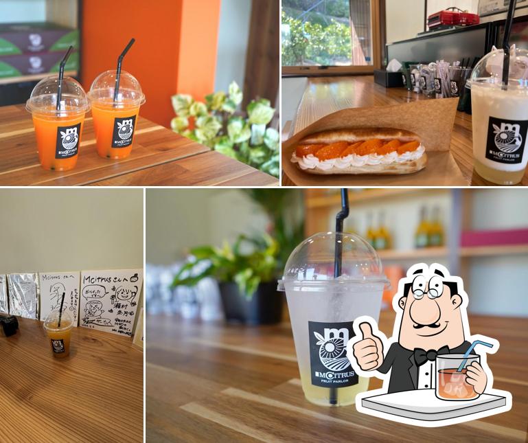 M.CITRUS FRUIT PARLOR 主井農園 エムシトラス フルーツパーラー