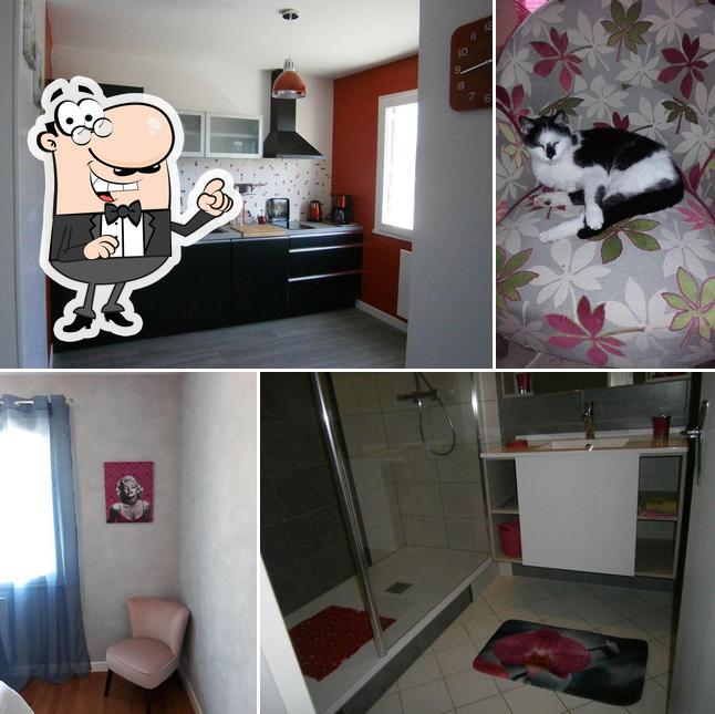 Chez Pauline