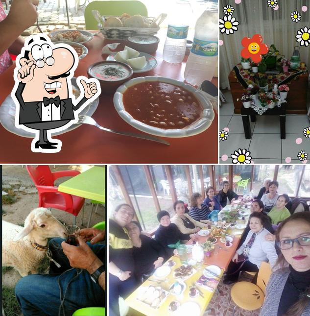 Gül Teyzenin Mutfağı