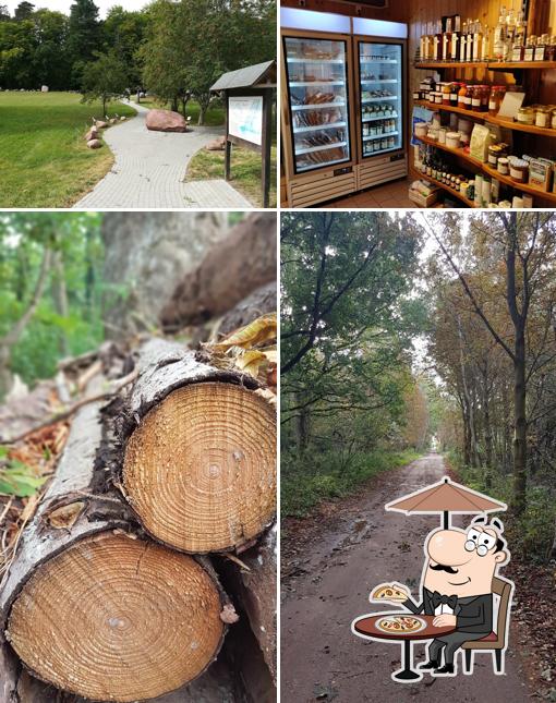 Landesforst M-V, Waldladen & Wildbistro Neu Pudagla, Insel Usedom