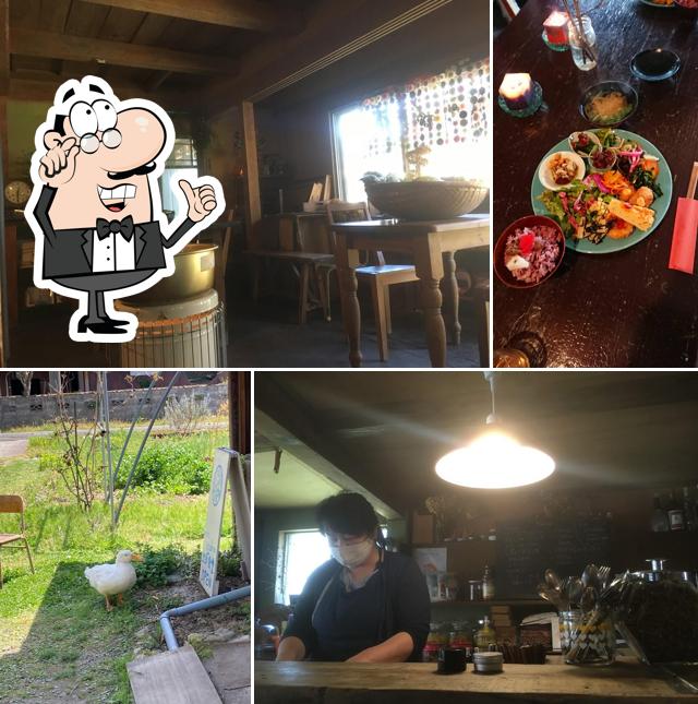 Earth kitchen