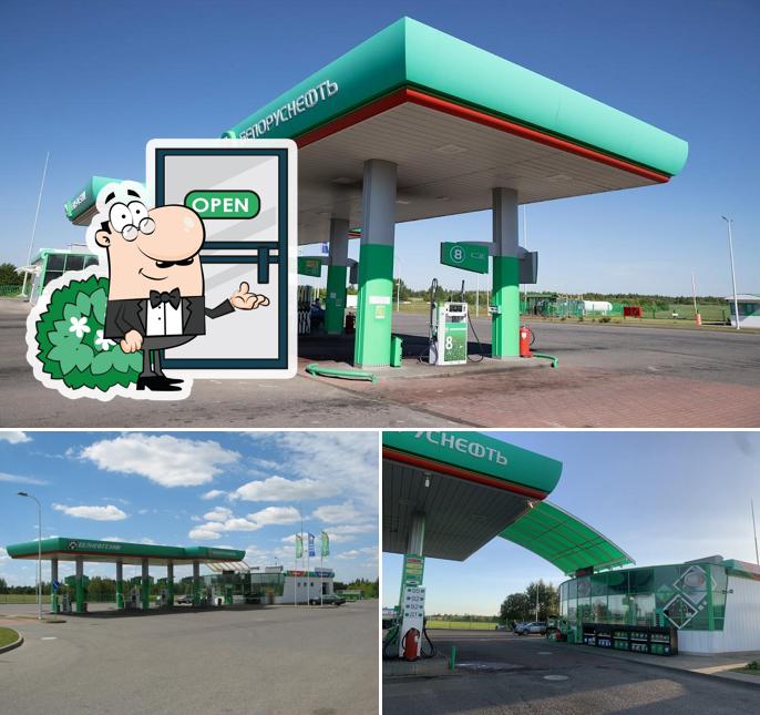 Белоруснефть