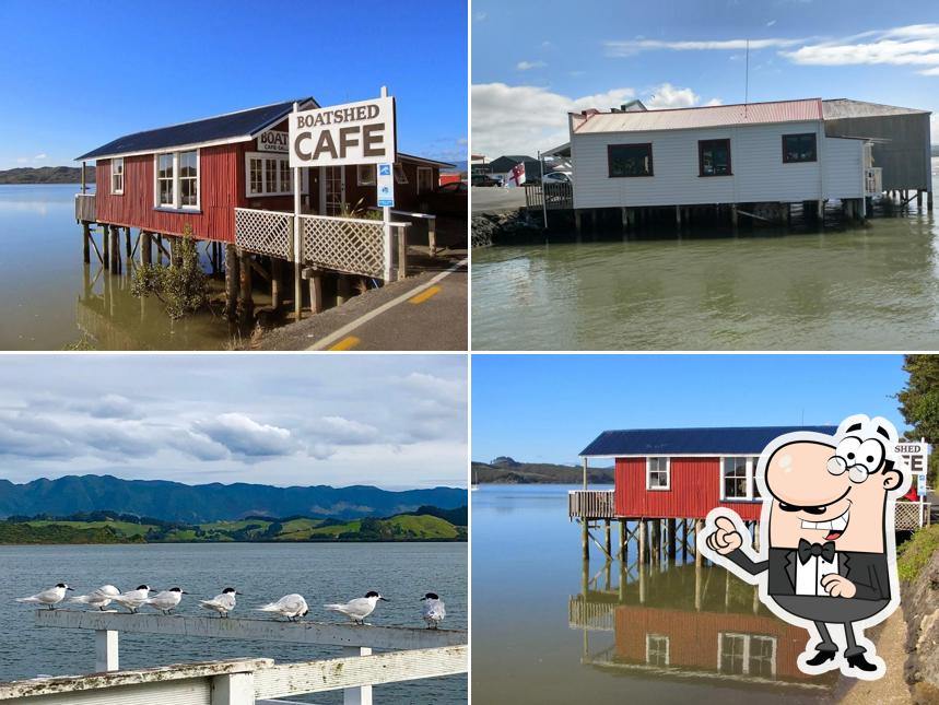 Boatshed Cafe