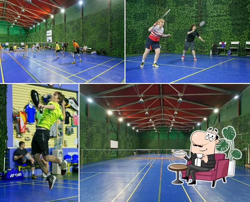 Michsport – Клуб Бадминтона и Настольного Тенниса