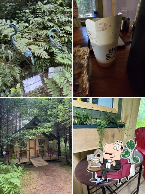 The Cococabin