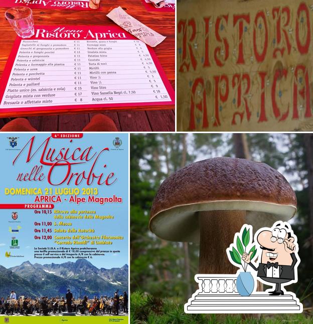Ristoro Alpino Magnolta