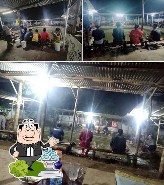Tempat Pemancingan Ikan Lele