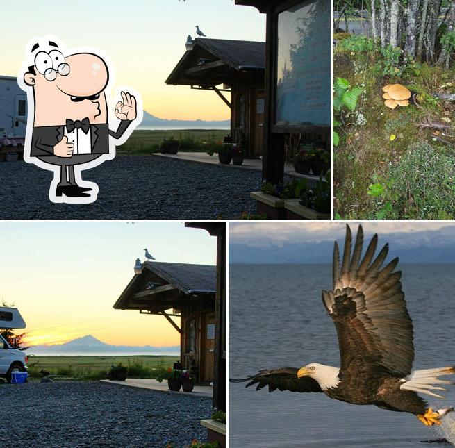 Kyllonen's RV Park