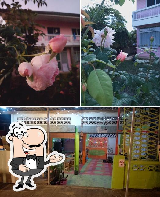 บ้านปล้อง