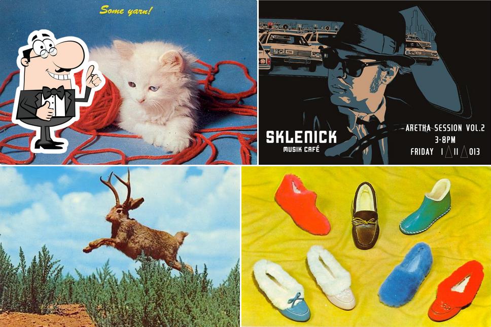 Sklenick