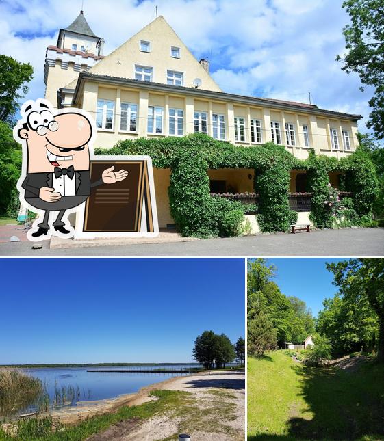 ZAMEK NOWĘCIN Pokoje Gościnne i Restauracja