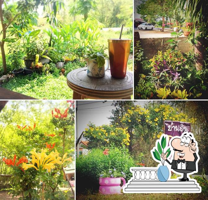 ร้านบ้านดินกาแฟสด