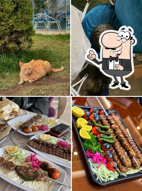 دکتر گوشت انلاین