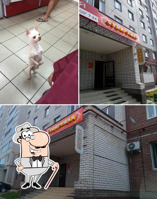 Сударушка