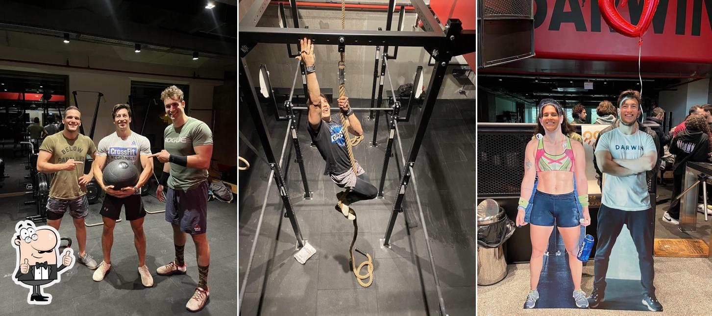 Darwin Fitness And Food