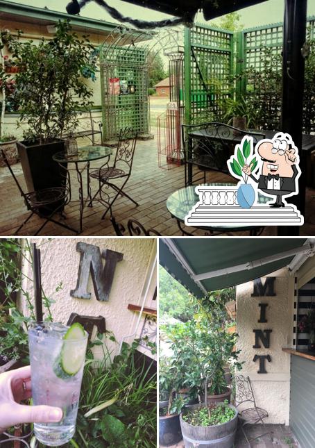 Mint Garden Bar