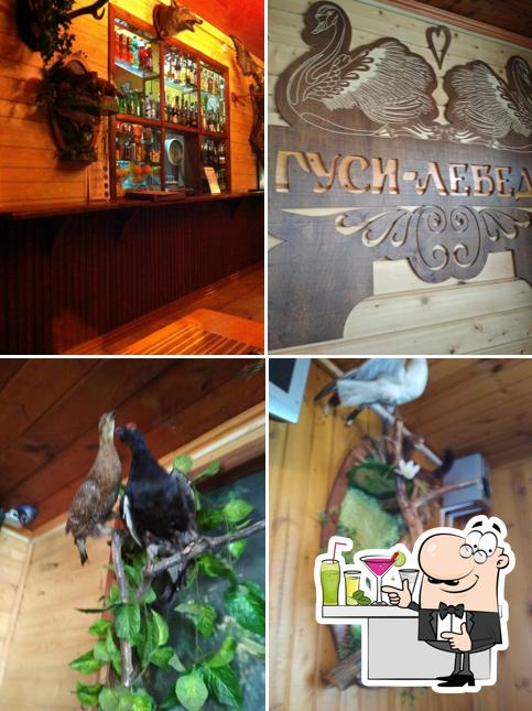 Гуси-лебеди