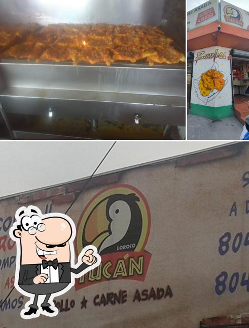 LOROCO TUCÁN.