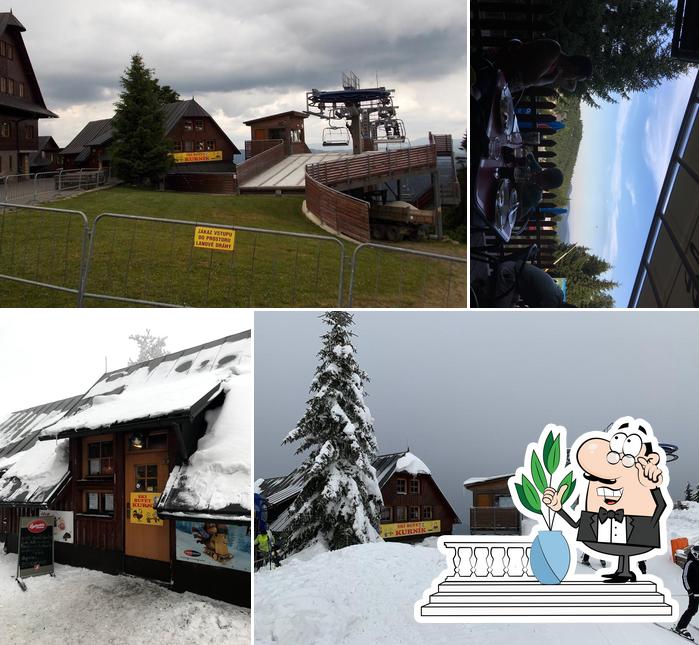 Skibufet Kurník