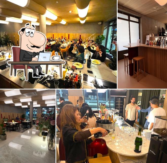 Motmot Café & Bar