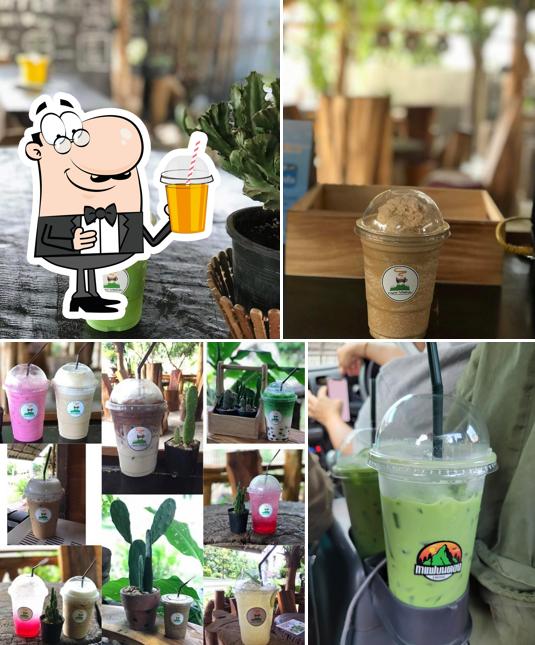 กาแฟบนดอย