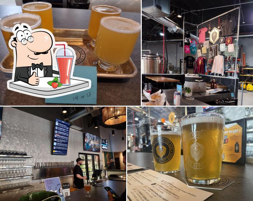 Catalyst Crafted Ales