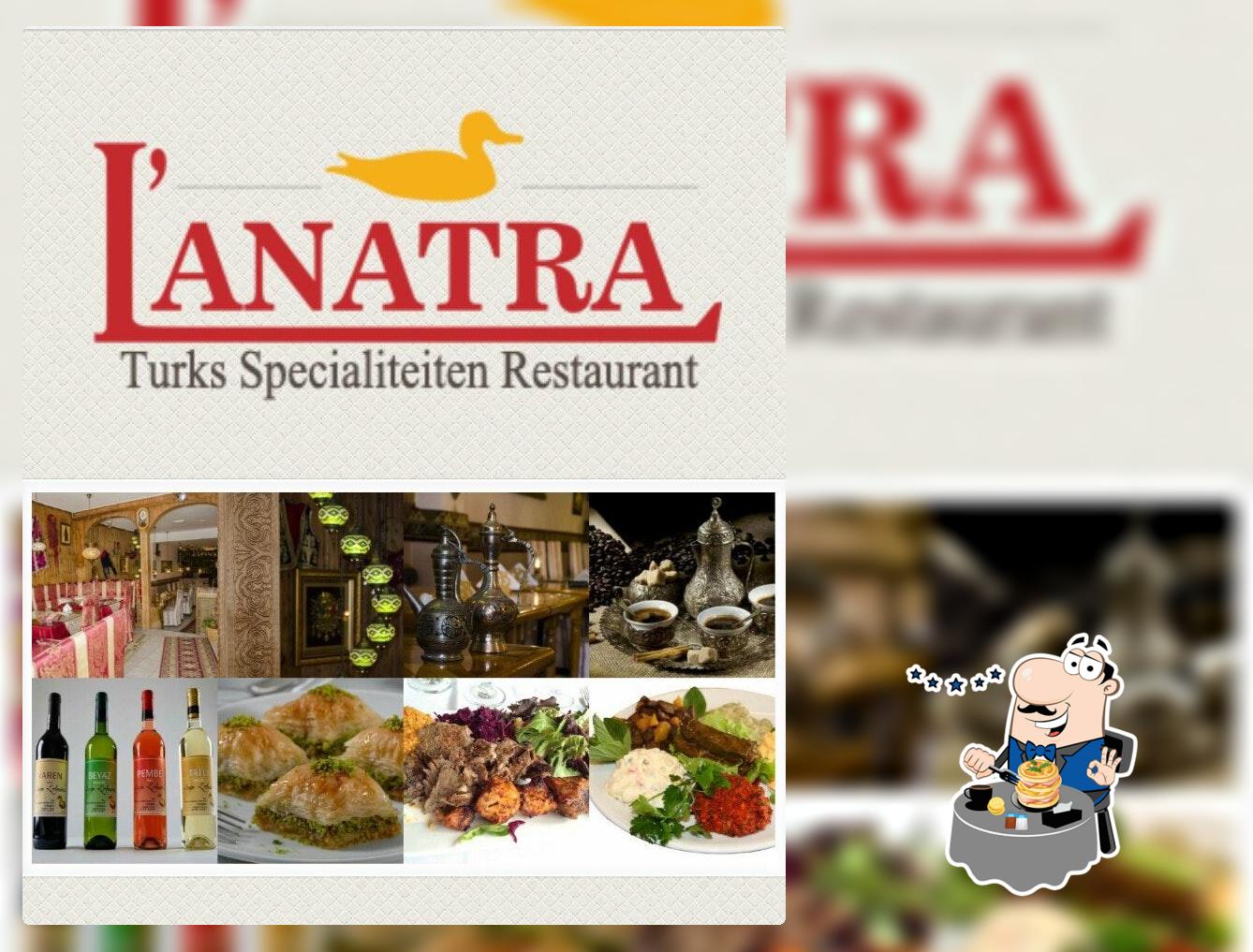 L Anatra
