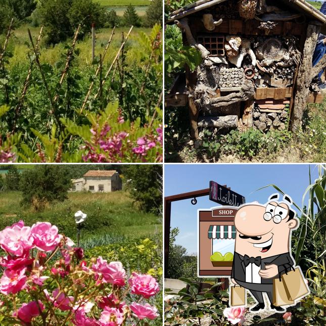 La Ferme de Noé