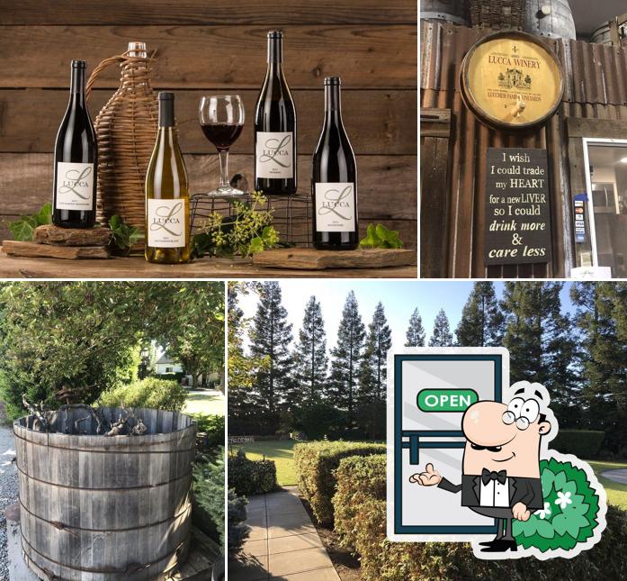 Lucca Winery