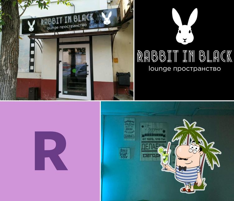 Rabbit in black