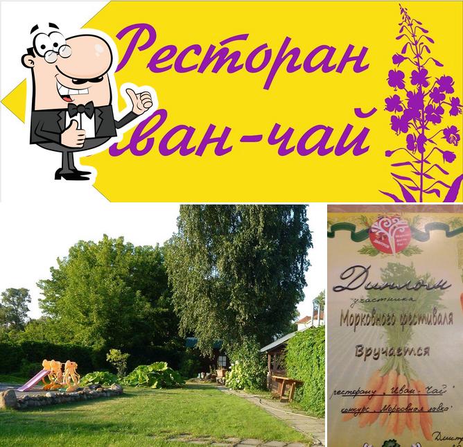 Иван-чай