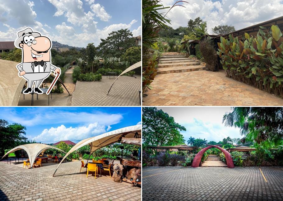 African Tribe Hotel