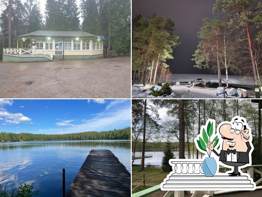 Монетка