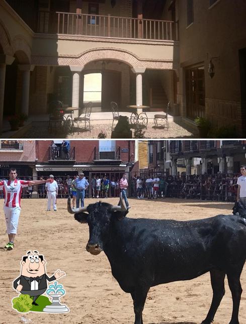 Posada Los Condestables