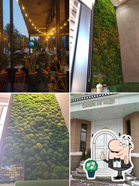 Сахара не надо