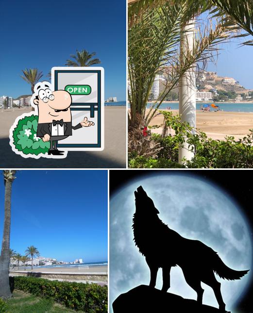 El Rincon Del Lobo