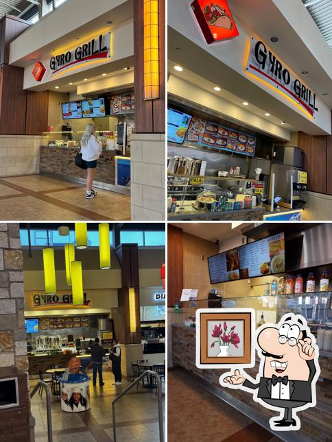 Mediterranean Gyro Grill