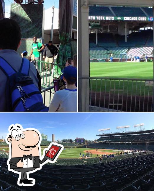 Chicago Sports Nation Herscher IL