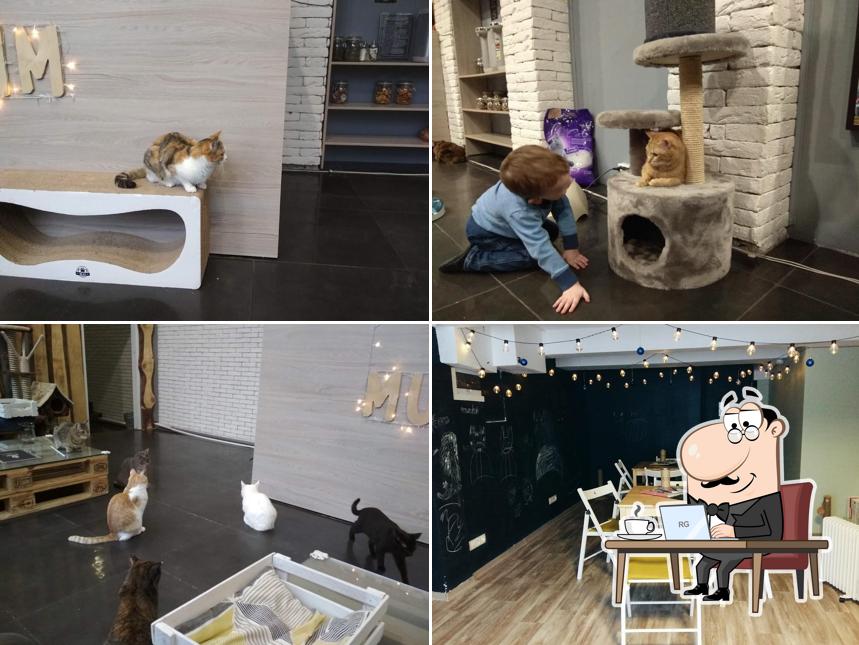 Котокафе Мурчим (Котокафе "Murchim")