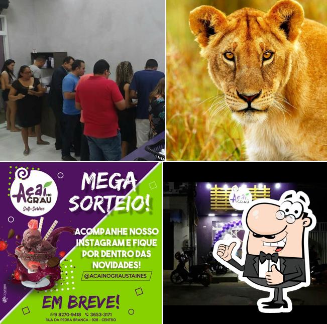 Acaí no Grau Santa Inês