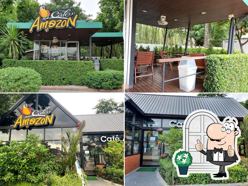 Cafe' Amazon