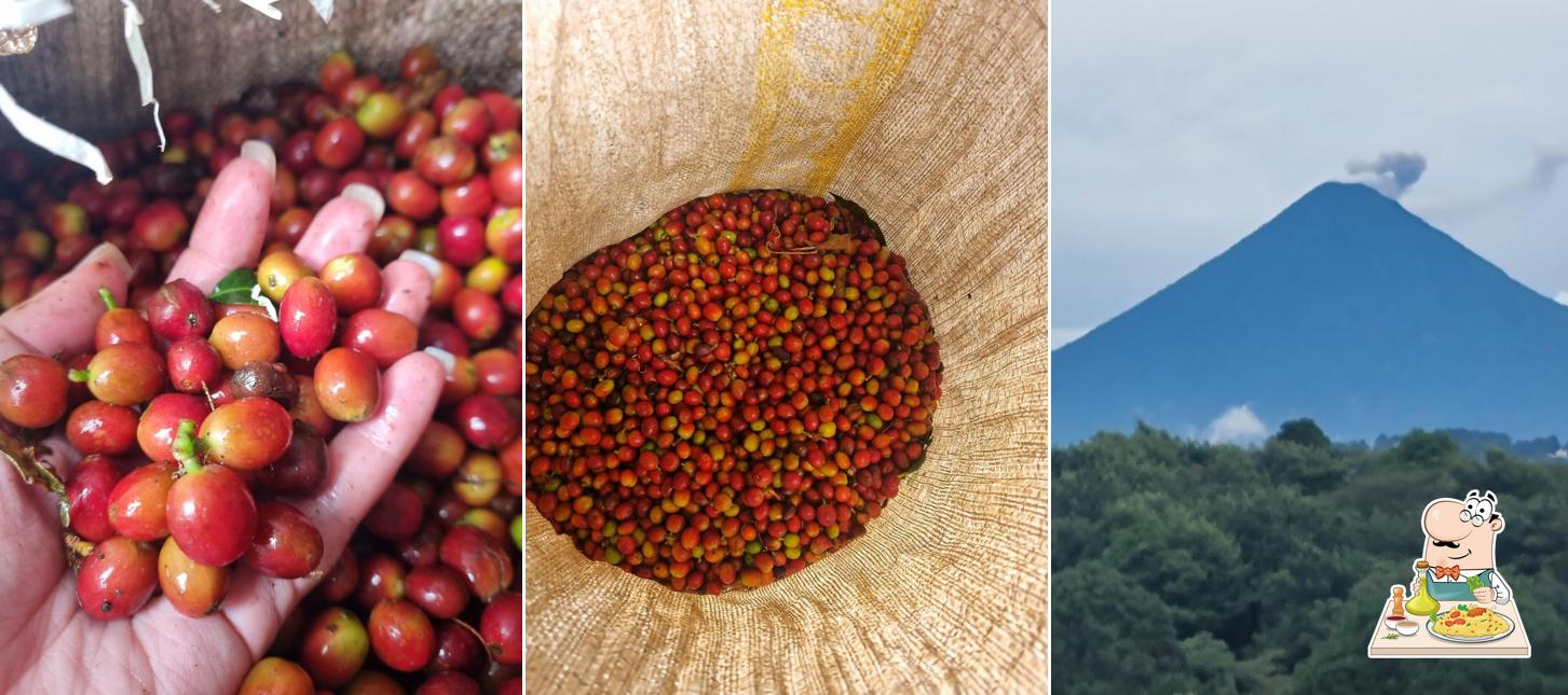Santa Luisa Coffee Roaster
