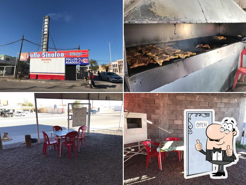 Pollo Sinaloa El Angel
