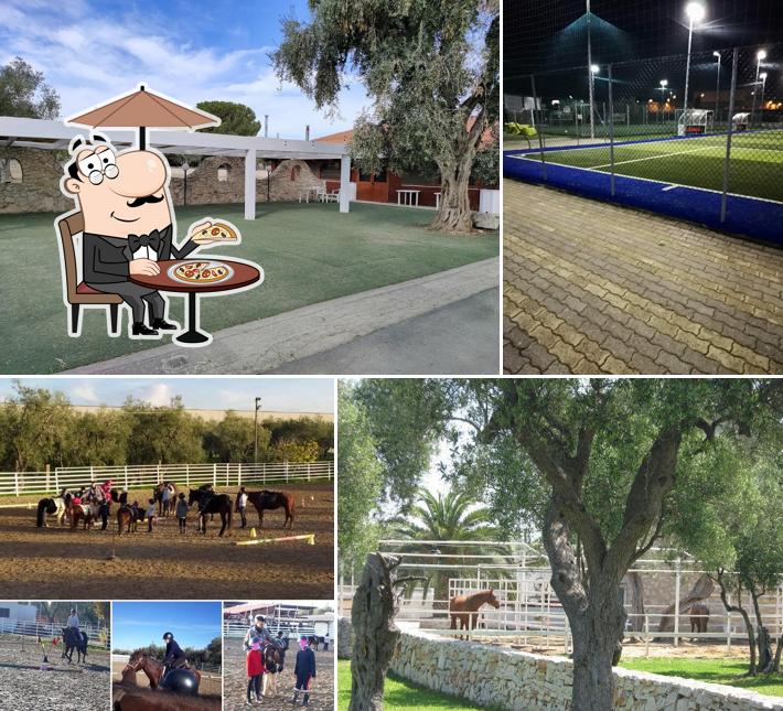 Centro Sportivo e Turistico "La Macchia degli Esperti"