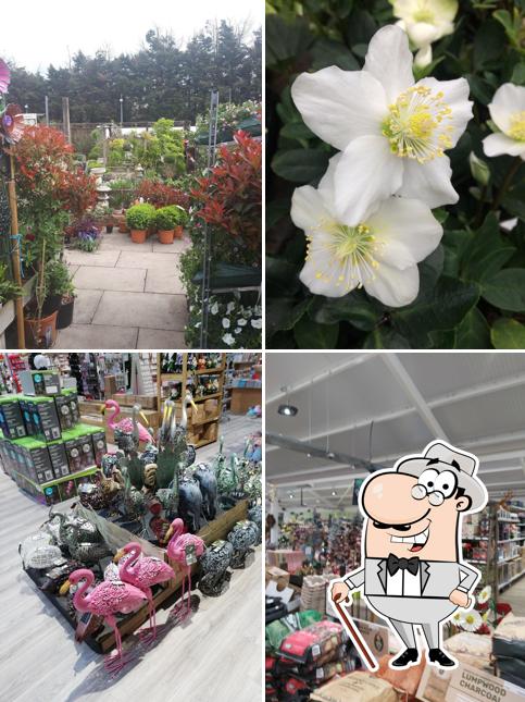 Ansell Garden Centre