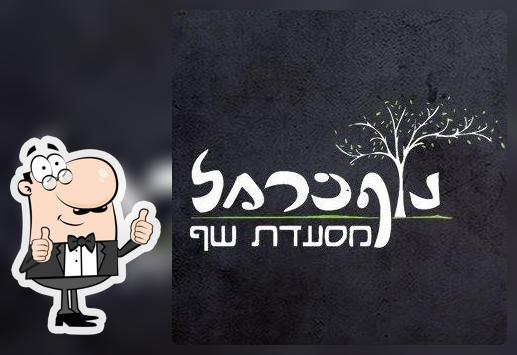 גלידת מור - גלידה מסטיק